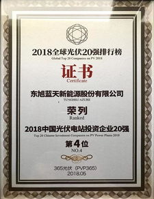 東旭藍天榮登2018中國光伏電站投資企業20強，引領清潔能源投資新篇章